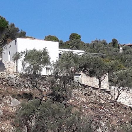 House Λ Villa Moni Evaggelistrias Exteriör bild
