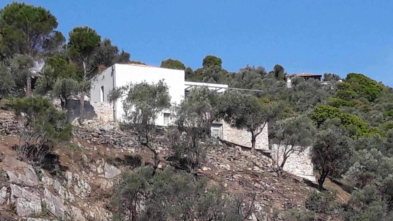 House Λ Villa Moni Evaggelistrias Exteriör bild